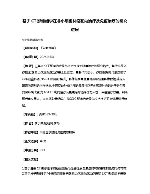 基于CT影像组学在非小细胞肺癌靶向治疗及免疫治疗的研究进展