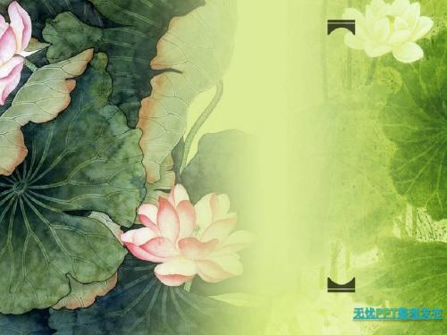 【精品模板】荷塘春绿-植物
