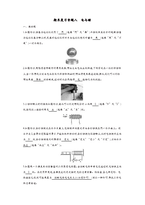 九年级物理全册期末复习专题八电与磁练习(新版)新人教版