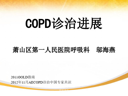 COPD课件完整版本