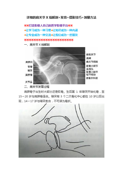 详细的肩关节X线解剖+发育+摄影技巧+测量方法