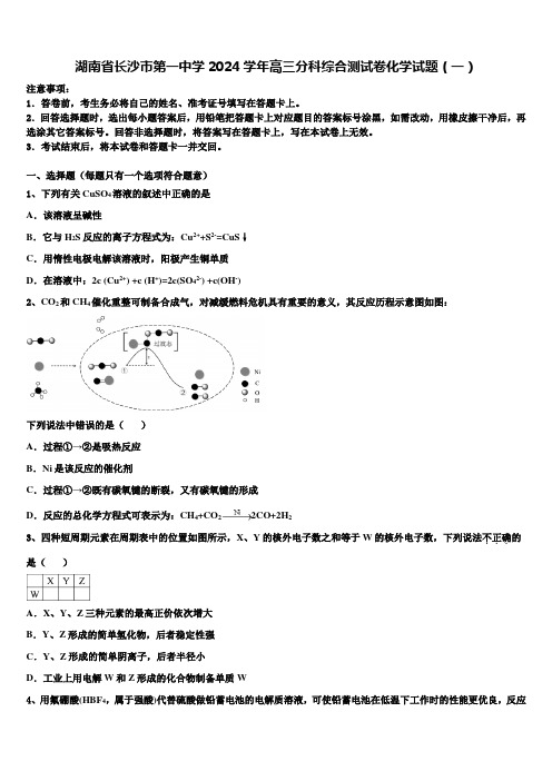 湖南省长沙市第一中学2024学年高三分科综合测试卷化学试题(一)含解析