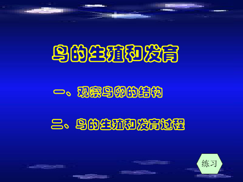 【初中生物】鸟的生殖和发育PPT课件