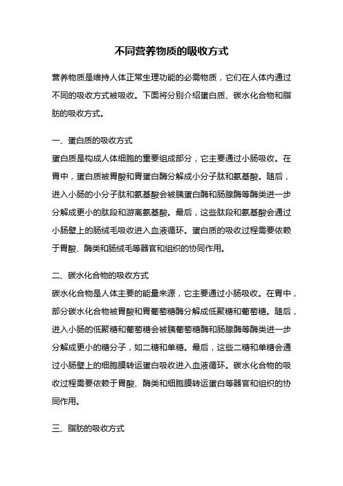 不同营养物质的吸收方式