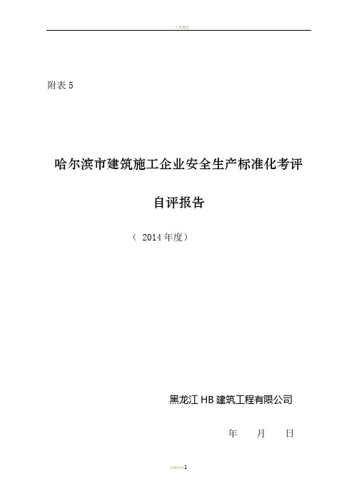 哈尔滨建筑施工企业安全生产标准化自评报告附表5