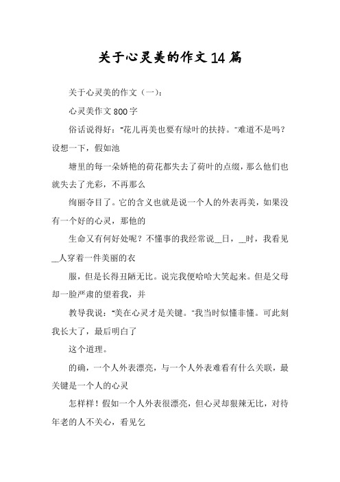 关于心灵美的作文14篇