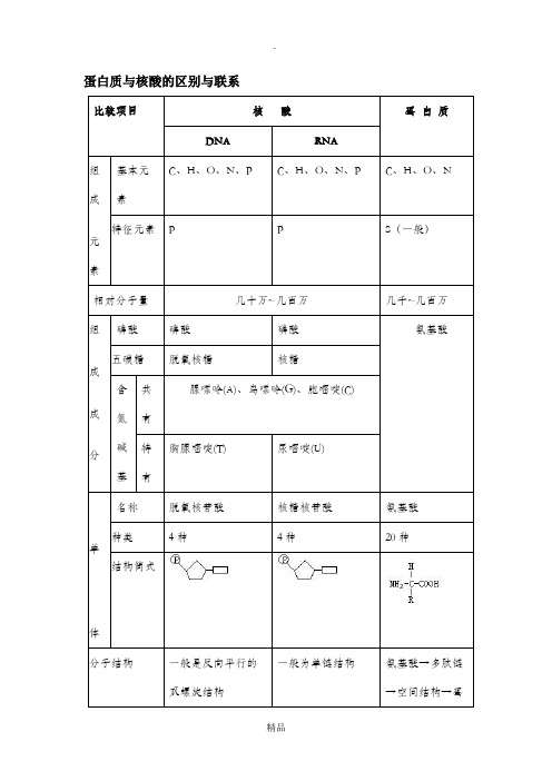 蛋白质与核酸的区别与联系