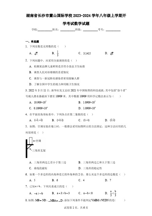 湖南省长沙市麓山国际学校2023-2024学年八年级上学期开学考试数学试题