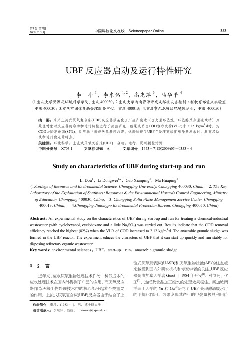 UBF反应器启动及运行特性研究