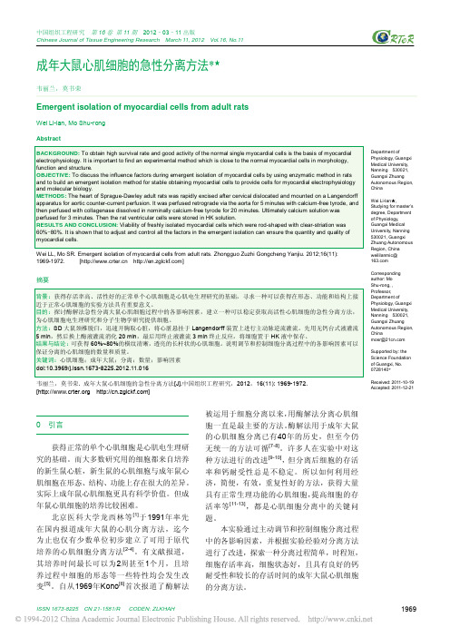 成年大鼠心肌细胞的急性分离方法_韦丽兰