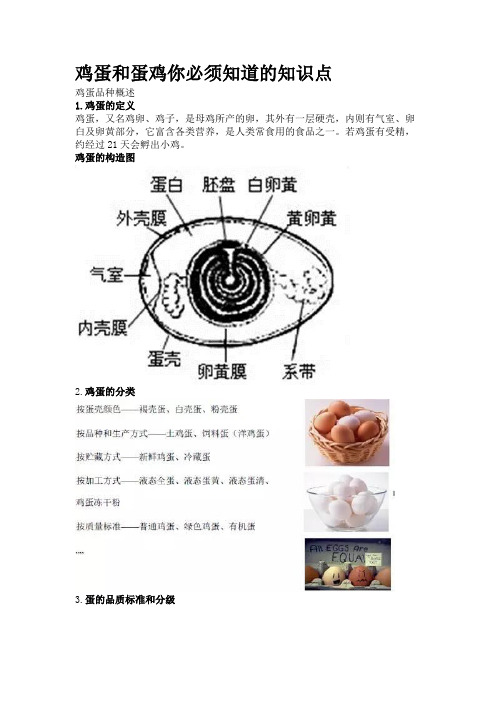 鸡蛋和蛋鸡你必须知道的知识点