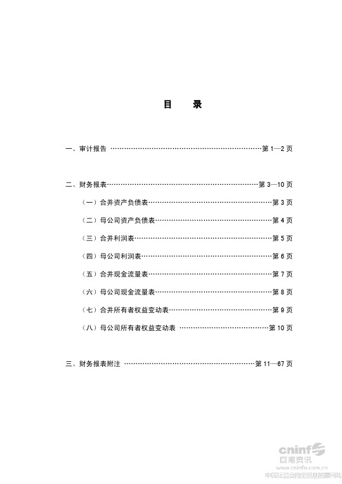 2012年年度审计报告62142028[1]