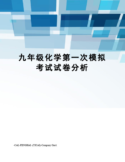 九年级化学第一次模拟考试试卷分析