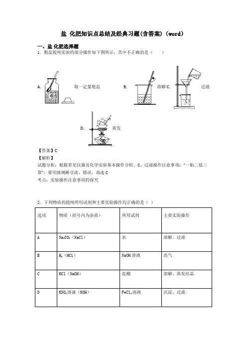 盐 化肥知识点总结及经典习题(含答案)(word)