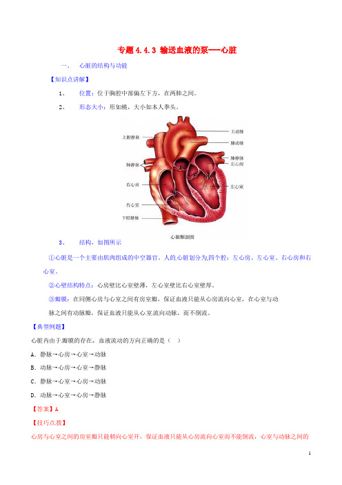 七年级生物下册 专题4.4.3 输送血液的泵心脏(讲)(含解