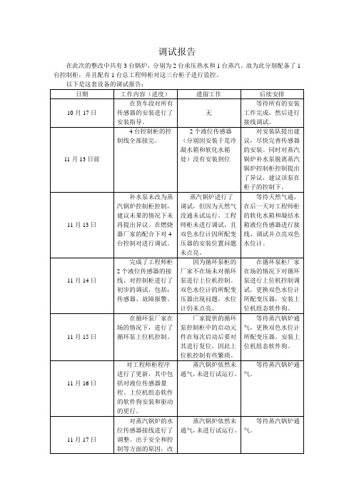 调试报告_精品文档