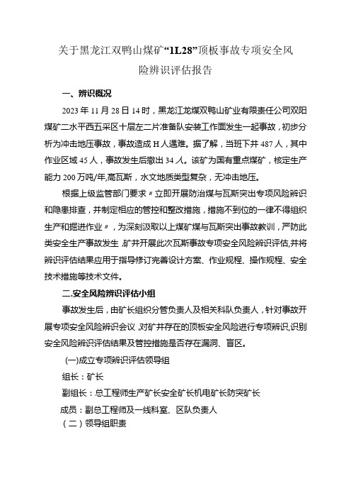 关于黑龙江双鸭山煤矿“11.28”顶板事故专项安全风险辨识评估报告