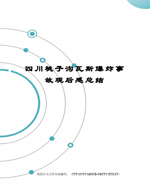 四川桃子沟瓦斯爆炸事故观后感总结