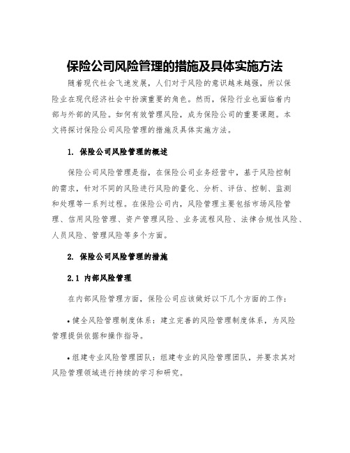 保险公司风险管理的措施及具体实施方法