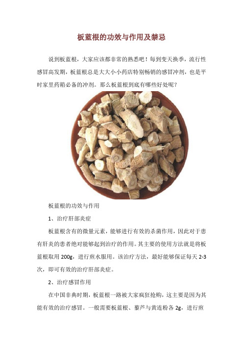 板蓝根的功效与作用及禁忌