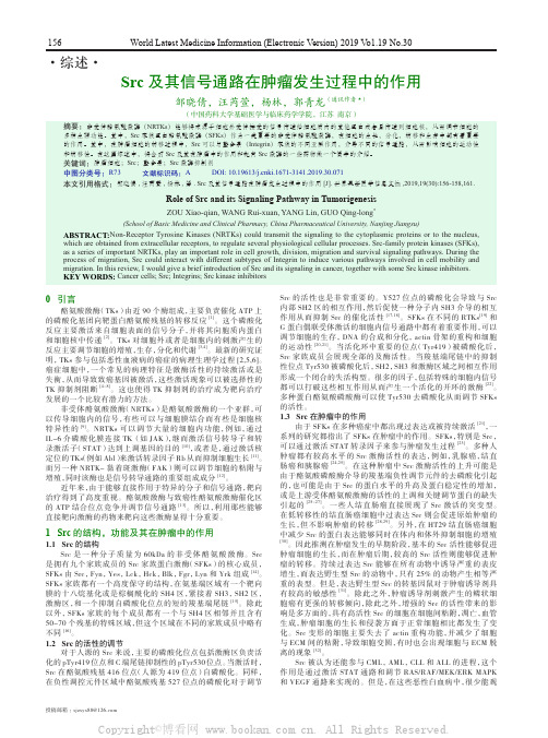 Src 及其信号通路在肿瘤发生过程中的作用