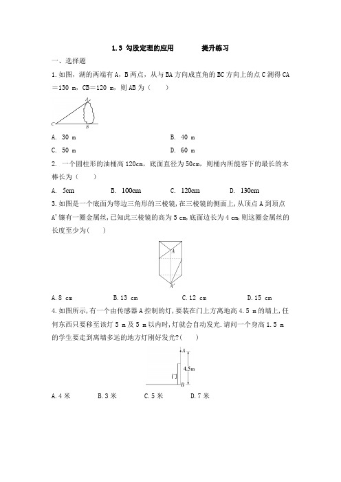 1 3 勾股定理的应用  提升练习  北师大版数学八年级上册 