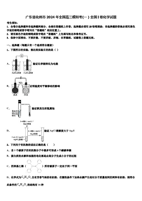 广东省化州市2024年全国高三模拟考(一)全国I卷化学试题含解析