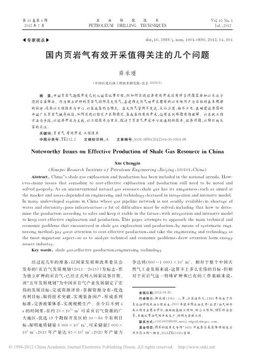 国内页岩气有效开采值得关注的几个问题_薛承瑾 (1)