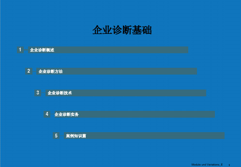 企业诊断-企业诊断基础 精品