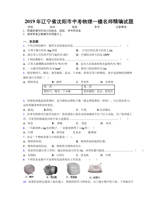 2019年辽宁省沈阳市中考物理一模名师精编试题附解析