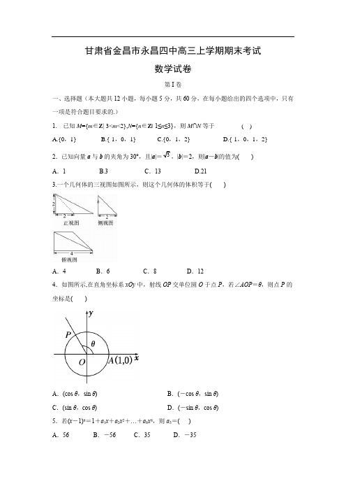 【数学】甘肃省永昌四中高三上学期期末考试试卷(理)