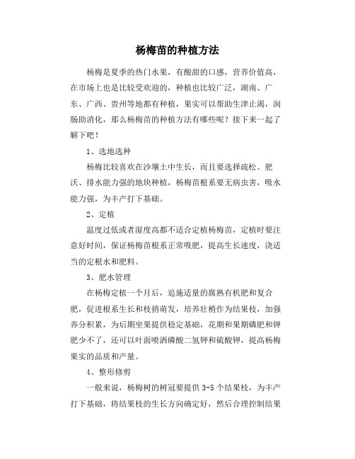 杨梅苗的种植方法