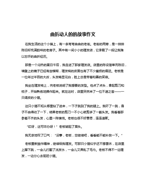 曲折动人的的故事作文