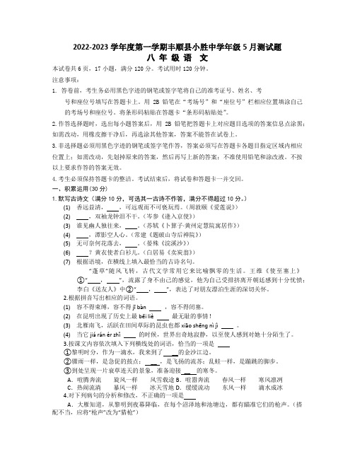 广东省梅州市丰顺县小胜中学2022-2023学年八年级下学期5月月考语文试题(含答案)