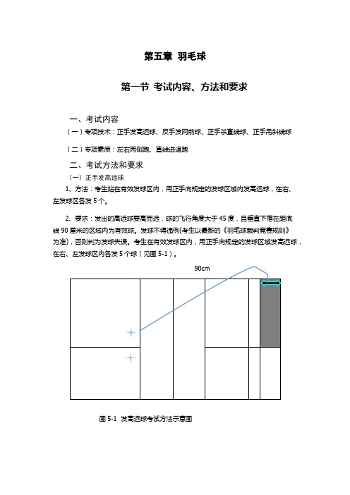 广西羽毛球体育高考评分标准