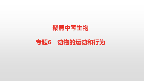 聚焦中考生物【专题6 动物的运动和行为】