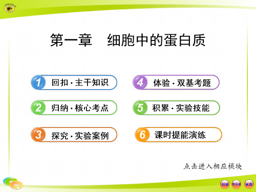 【最新】版高中生物全程复习方略配套课件(中图版)：1.2.1细胞中的蛋白质