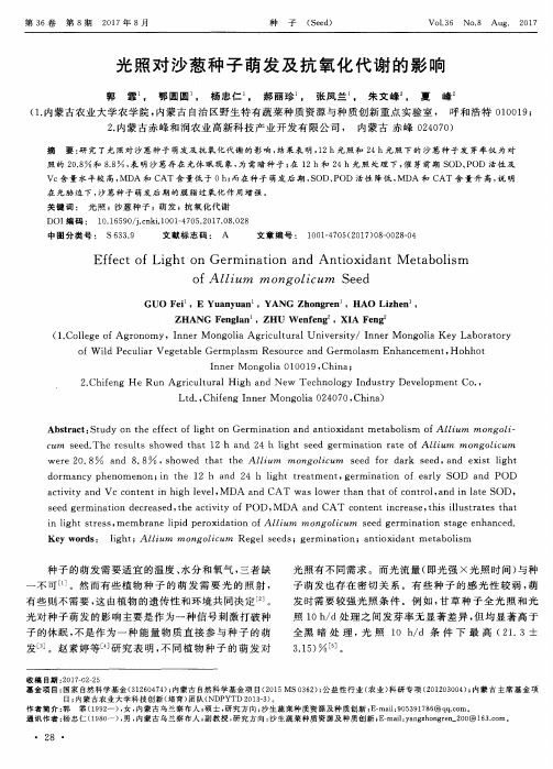 光照对沙葱种子萌发及抗氧化代谢的影响