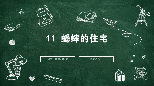 部编版语文四年级上册11蟋蟀的住宅课件(共15张PPT)