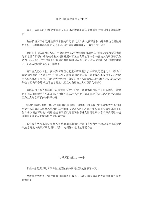 初中作文：可爱的狗_动物说明文700字