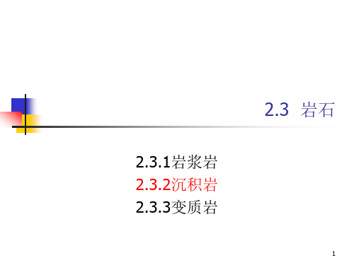 2 煤矿地质学 岩石 2 沉积岩 3 变质岩