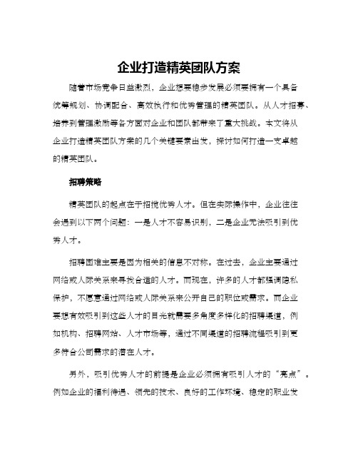 企业打造精英团队方案