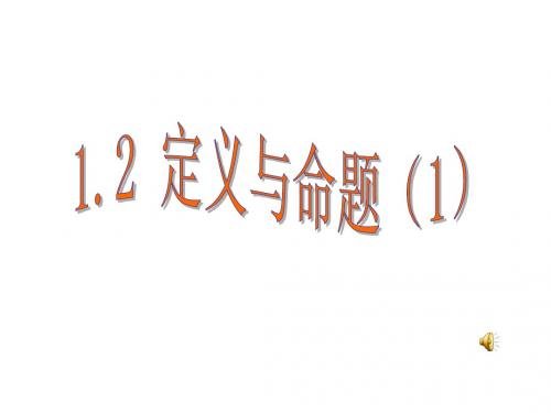 1.2 定义与命题(1).2 定义与命题(1)课件(八上)