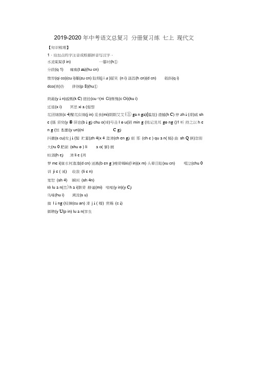 2019-2020年中考语文总复习分册复习练七上现代文