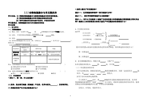 2.2.2学案单克隆抗体