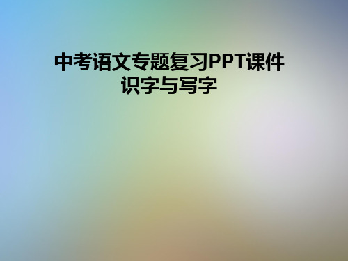 中考语文专题复习PPT课件识字与写字