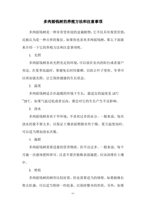 多肉摇钱树的养殖方法和注意事项