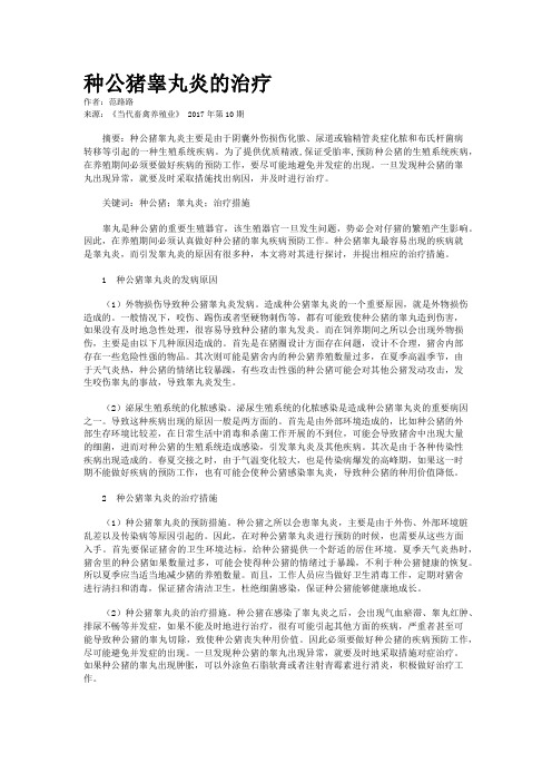 种公猪睾丸炎的治疗