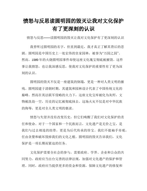 愤怒与反思读圆明园的毁灭让我对文化保护有了更深刻的认识