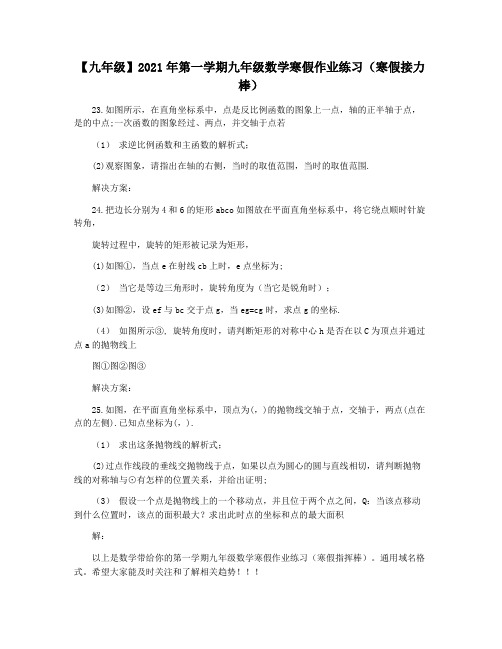 【九年级】2021年第一学期九年级数学寒假作业练习(寒假接力棒)